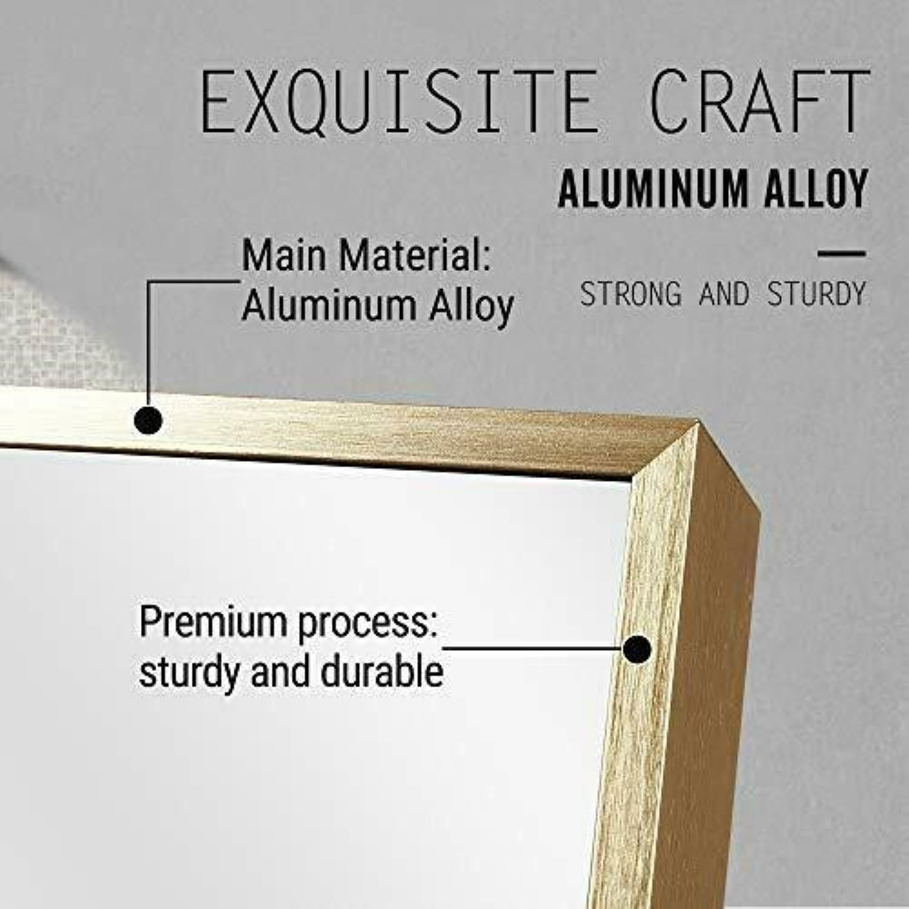 Vera 24" x 32" Rectangular Vanity Mirror with Modern Metal Frame